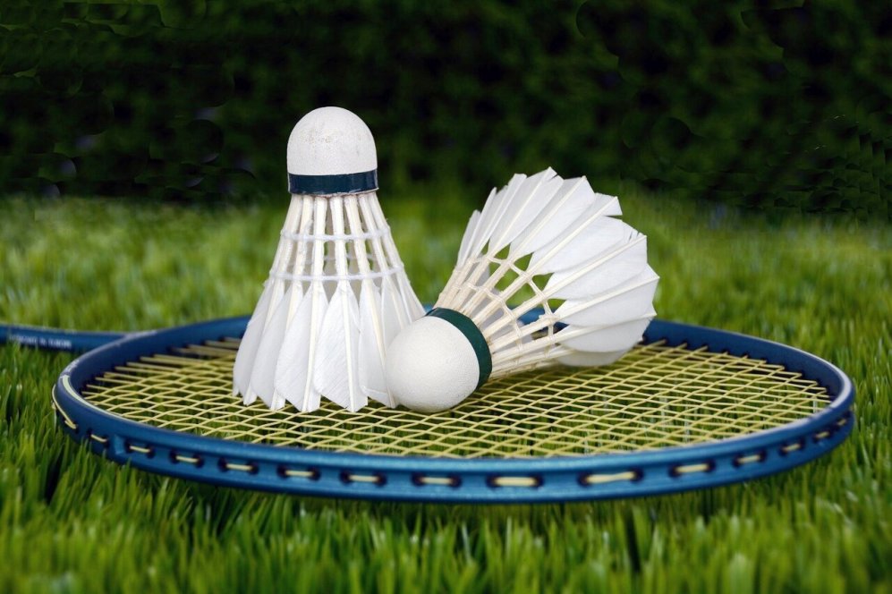 Retired badminton champion Paneru donates sports equipments