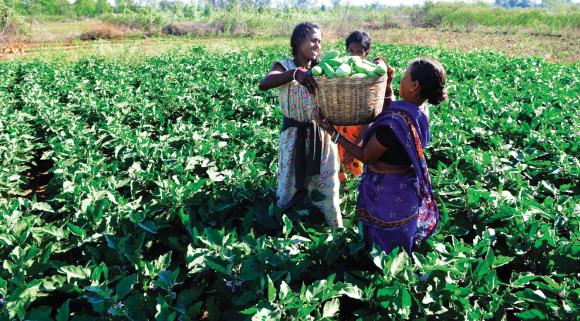 Farmers unable to take vegetables to market