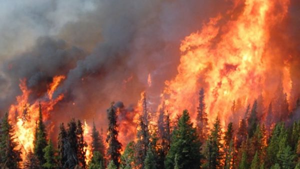 Uncontained wildfire in Pathibhara area