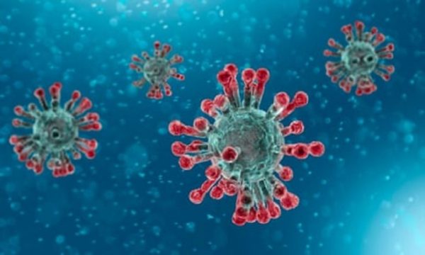 Experts claim new strain of coronavirus could have already entered Karnataka, India