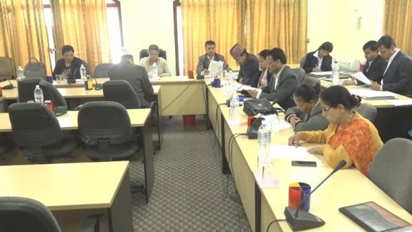 Parliamentary committee instructs gov’t not to implement its decision regarding the name of the country