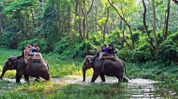 Thirteenth edition of “Chitwan Festival” scheduled on second week of January