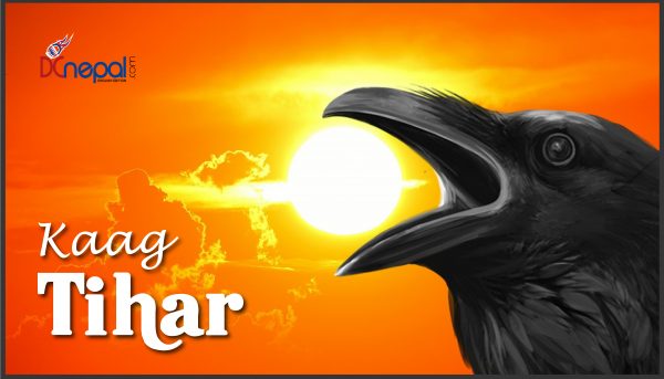 Hindus busy feeding crows in the first sunrise of Tihar