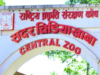 Central Zoo experiences record-breaking turnout of 12,000 visitors on Bhotojatra day