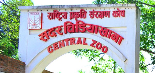 Central Zoo to reopen after eight months