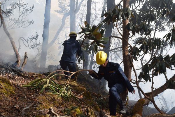 Pathibhara wildfire still not contained