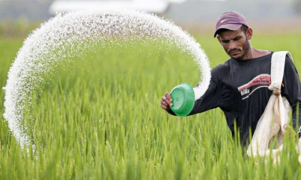 Agriculture Ministry to procure 50k metric tons of urea
