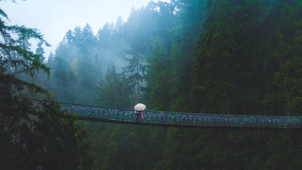 Urgent Repairs Needed for Nepal-India Suspension Bridge in Darchula District