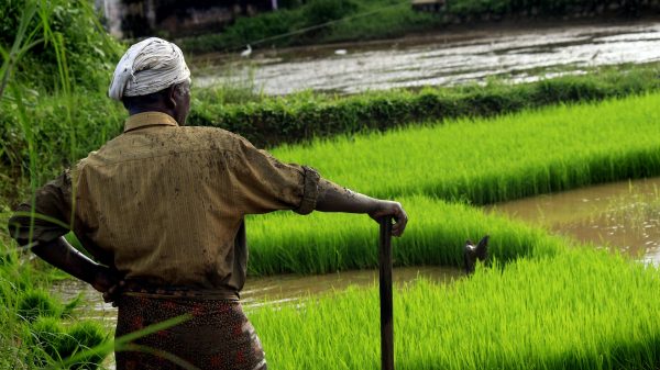 Farmer commits suicide at Delhi protest