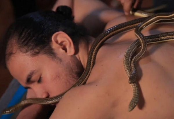 Chill Out: Python massage in Egypt gaining popularity