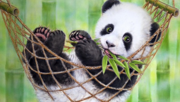 World’s first interactive PANDA MUSEUM opens in China