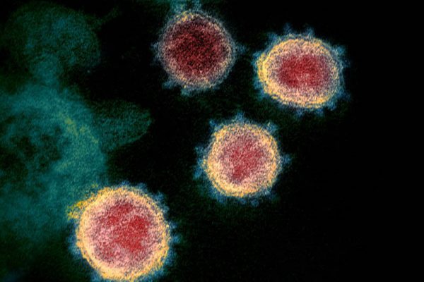 Deadly coronavirus variant “Delta” found in Nepal