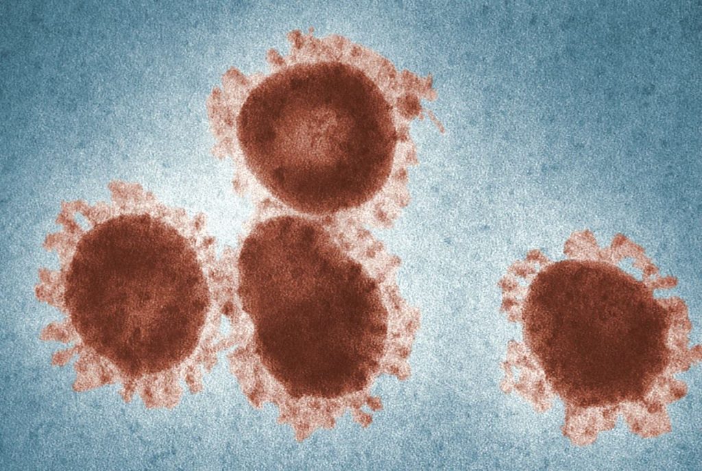 Indian variant of Coronavirus is present in at least 49 countries, says WHO