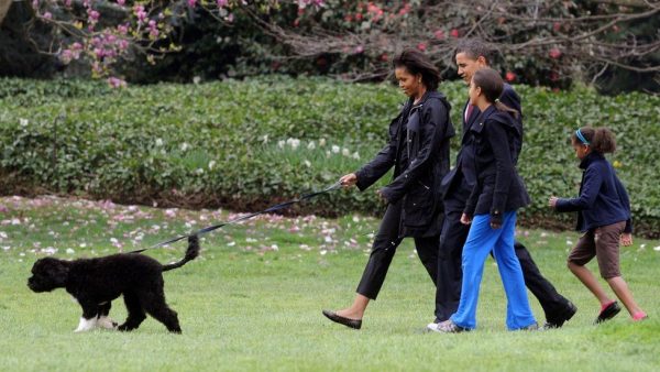 Barack Obama’s family dog, Bo dies