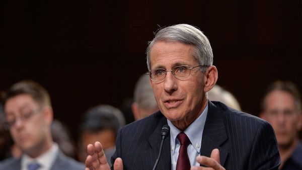 US COVID Death toll is undercounted: Doctor Fauci