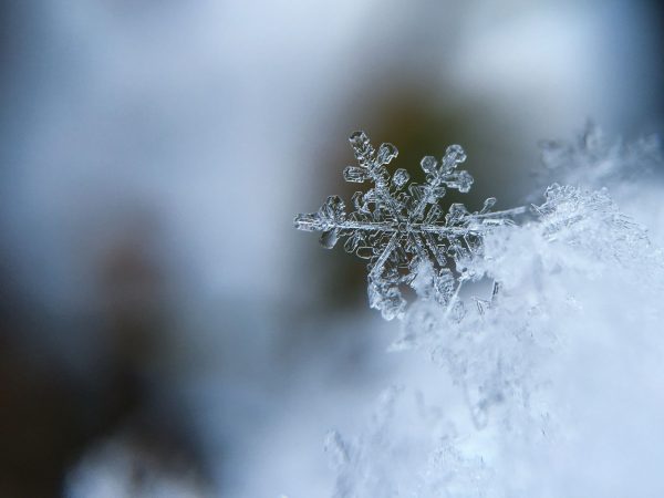 High hills of Paanchthar witness first Snowfall of 2021