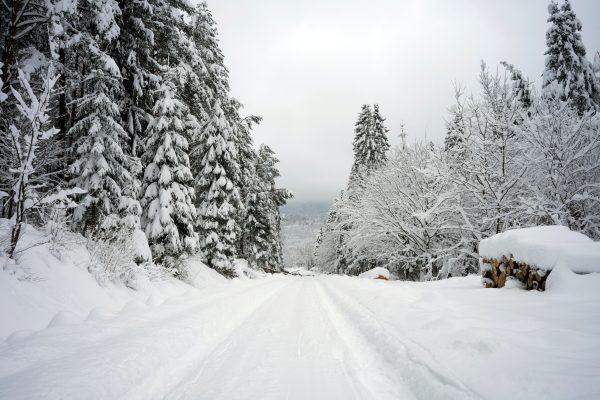 Two feet snow blocks Nagma-Gamgadhi road section