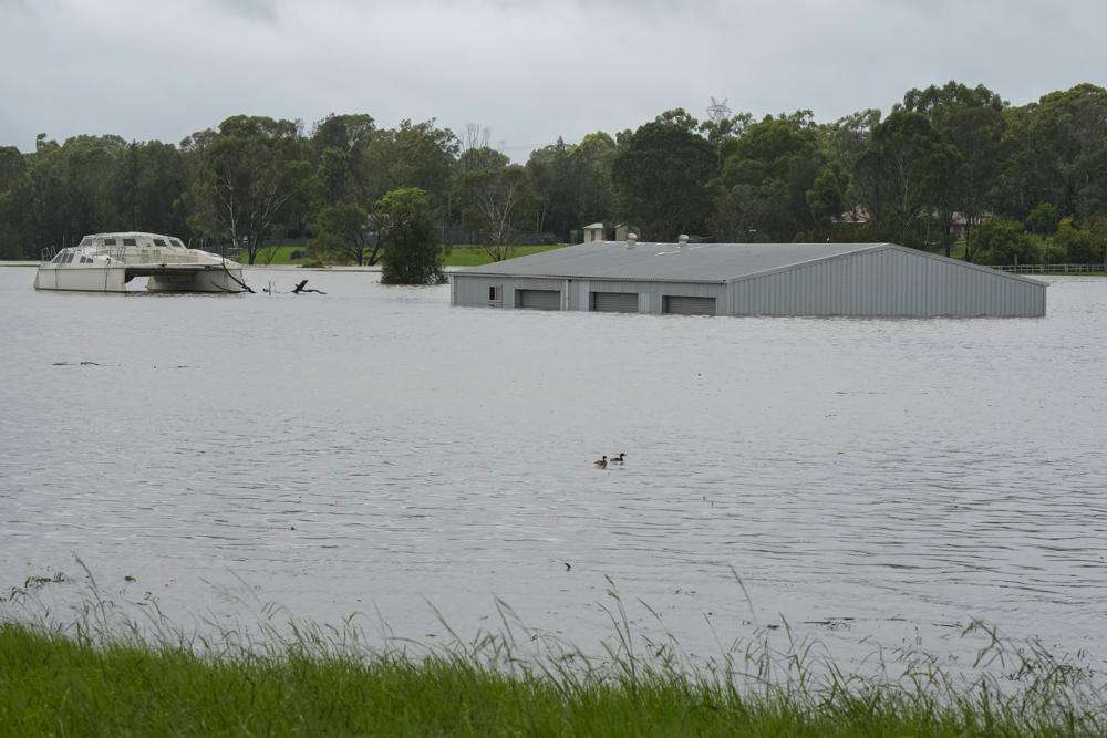 Sydney and surrounding areas on flood alert as rain lashes out