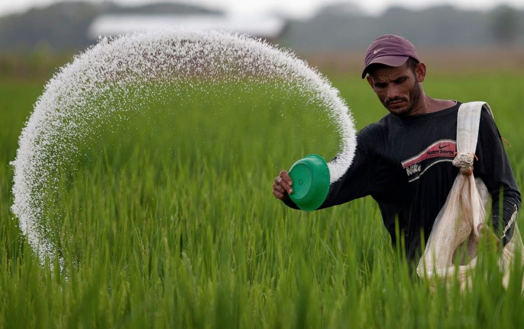 Rains come to relief, but fertilizer shortage adds woes to farmers