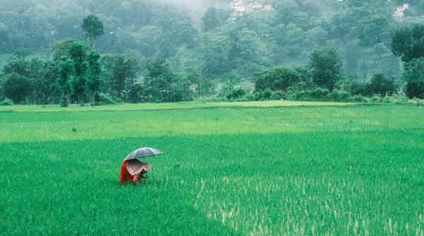 Agriculture sector ignored, says Nepali Minister, as unused land reaches 1.3 million hectares