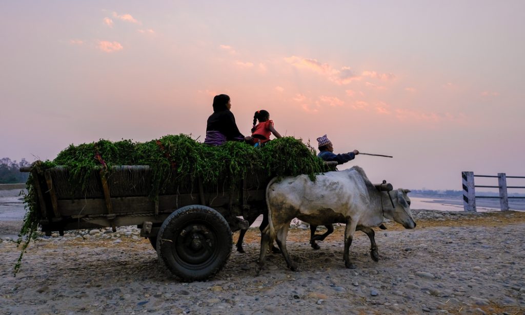 Mukta Kamaiya community struggle to sustain family even after 21 years of liberation