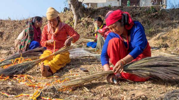 From Barren Hills to Green Oasis: How Broom Grass is Uplifting the Chepang Communities of Nepal