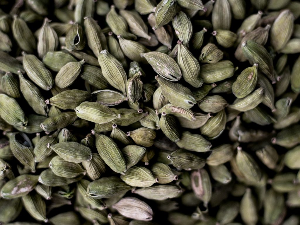 Drought hits cardamom plantation in Taplejung