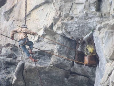 Wild Honey Hunting in Khotang: Sampang Rai Community Ventures into Treacherous Mahabhir Cliffs