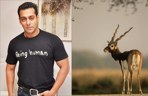 Blackbuck case haunts Salman Khan: Gangster Goldy Brar issues dire death threat