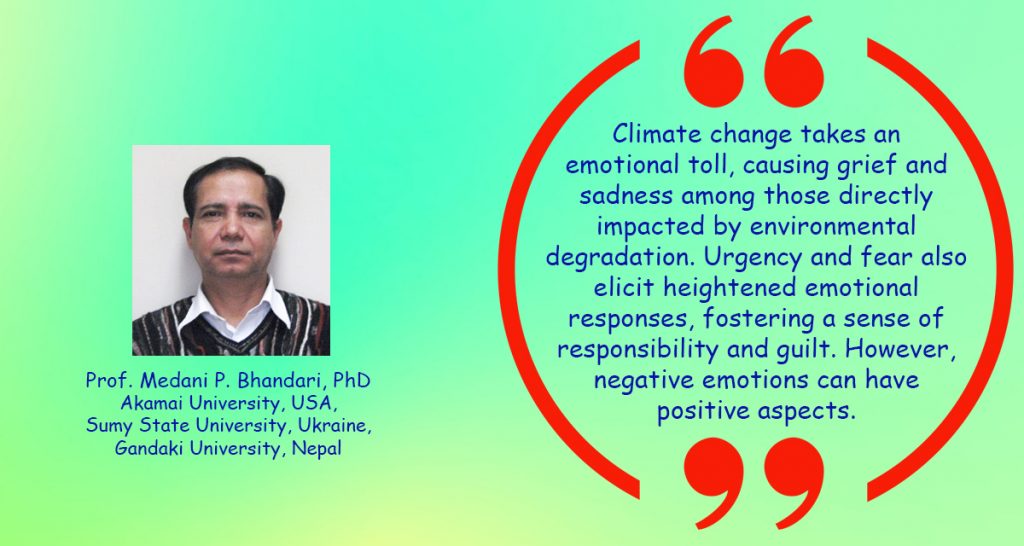 Emotions and Affective Dynamics in Global Climate Change Politics