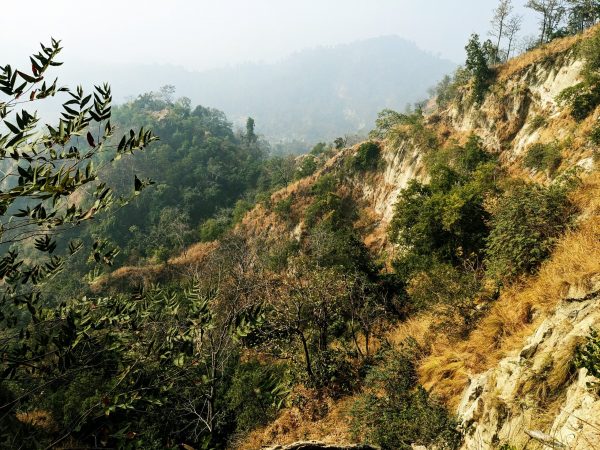 Raimandal Hill in Mahottari Reveals Vulture Habitat, Calls for Conservation and Tourism Development