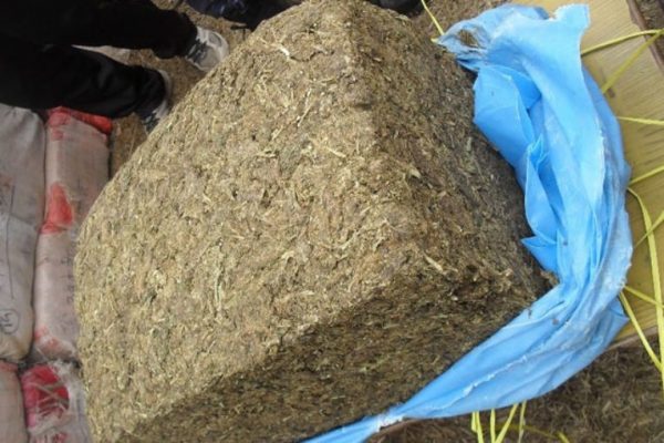 Two Individuals Arrested with 542 Kilograms of Marijuana in Chitwan