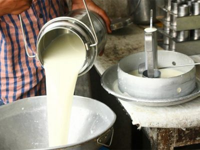 Makwanpur Dairy Farmers Threaten Strike Over Unpaid Dues