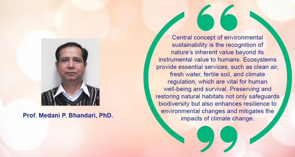Environmental Sustainability : A Key for a Sustainable Future