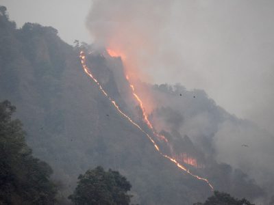 Forest Fires Ravage Nepal: Urgent Measures Needed