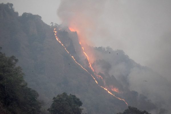 Forest Fires Ravage Nepal: Urgent Measures Needed
