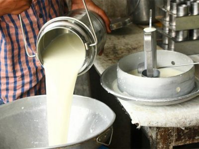 Government Approves Rs 60 Crore Loan to Dairy Development Corporation for Farmer Dues