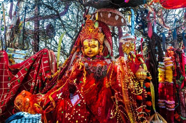 Nearly 6,000 Pilgrims Visit Pathibhara Temple in a Day