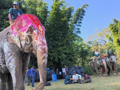 ‘Bijuli Kali’ Crowned Winner of Elephant Beauty Contest at Sauraha Festival