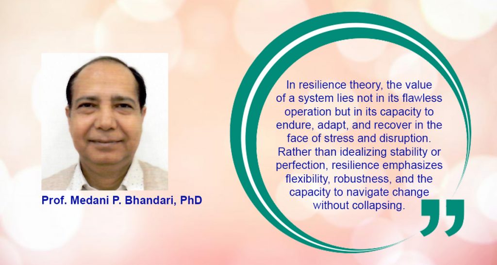 Driving with a Flat: A Philosophical Inquiry into Imperfection, Adaptability, and the Human Journey