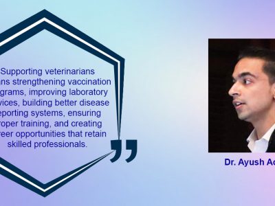The Doctor of the Unspoken: Why the World Needs Veterinarians More Than Ever