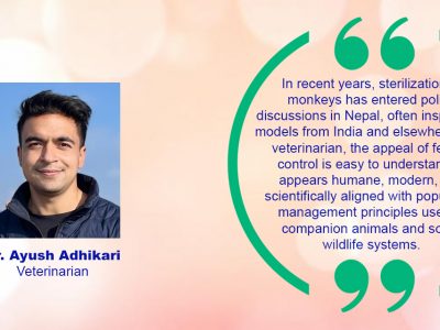 The Mid-Hill Exodus and Nepal’s Monkey Crisis: A Veterinary Reflection on a Growing Ecological Stress