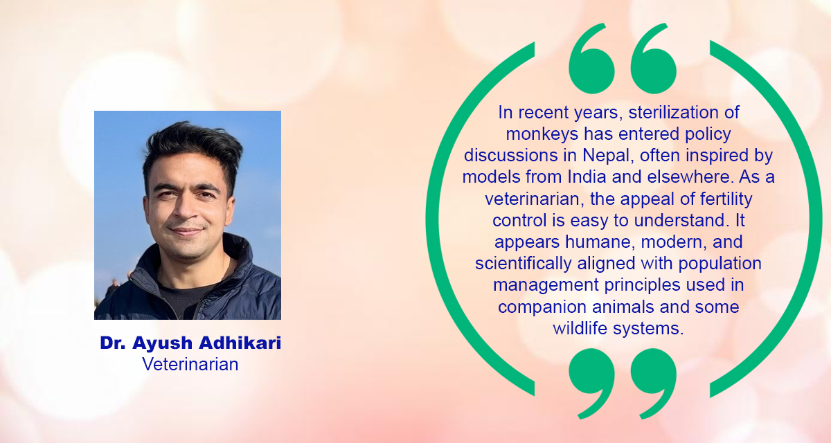 The Mid-Hill Exodus and Nepal’s Monkey Crisis: A Veterinary Reflection on a Growing Ecological Stress