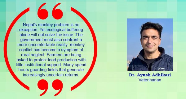 Ecological Buffering and the Future of Monkey Management in Nepal
